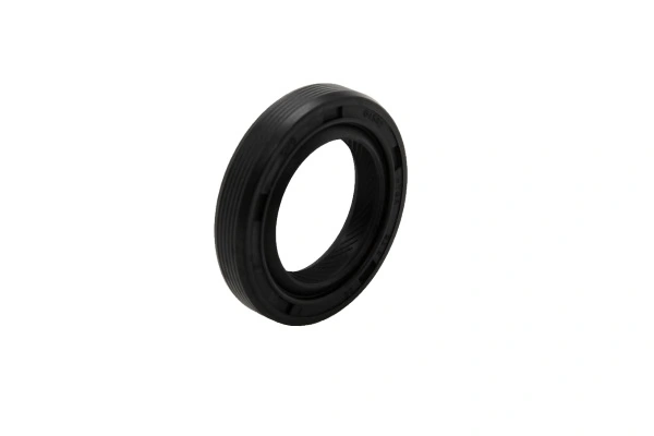 Shaft Seal, manual transmission main shaft 190014110