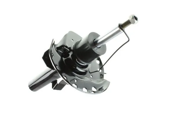 Shock Absorber 110018010