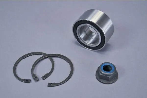AUTOMEGA 110083110 Wheel Bearing Kit
