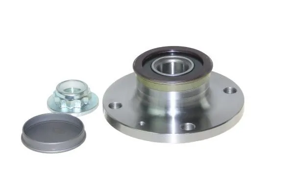 AUTOMEGA 110099110 Wheel Bearing Kit