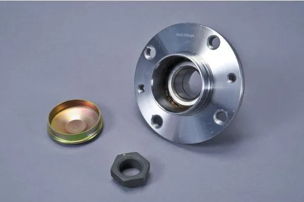 Wheel Bearing Kit 110194910