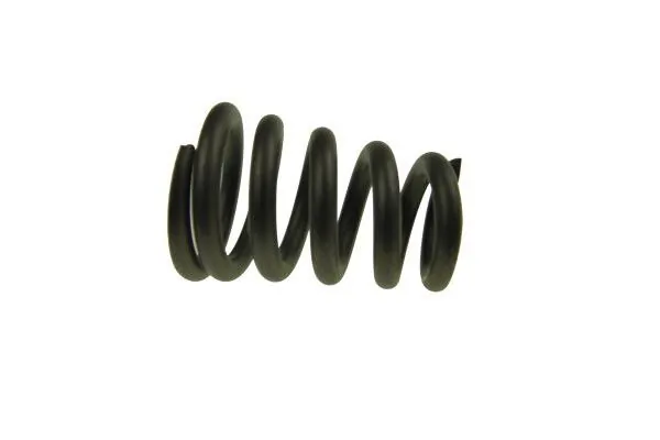 Spring, exhaust pipe 140025110