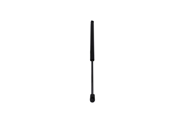 AUTOMEGA 100017410 Gas Spring, boot/cargo area