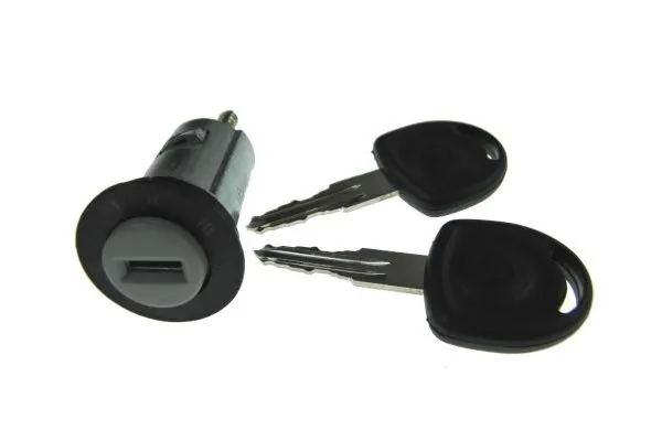 Lock Cylinder, ignition lock 100082910