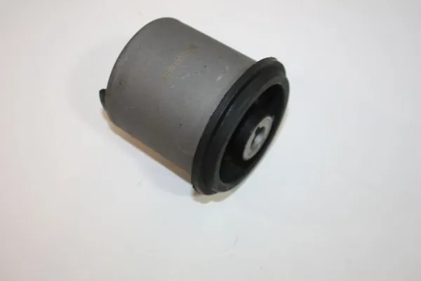 Bushing, axle beam 110086310