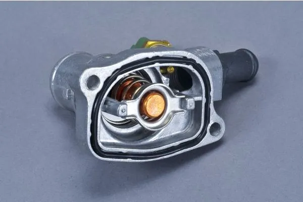 Thermostat, coolant 160110310