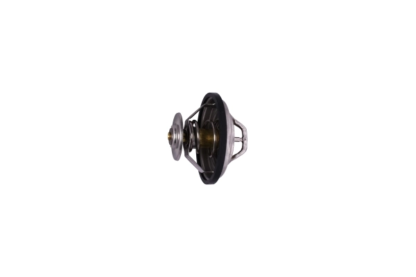 AUTOMEGA 160014510 Thermostat, coolant