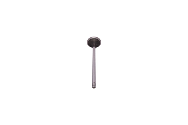 Exhaust Valve 130097310
