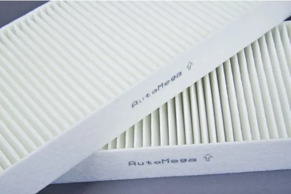Filter, cabin air 180051610