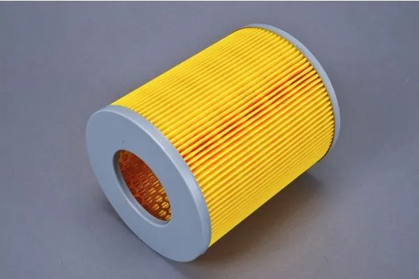 Air Filter 180069110