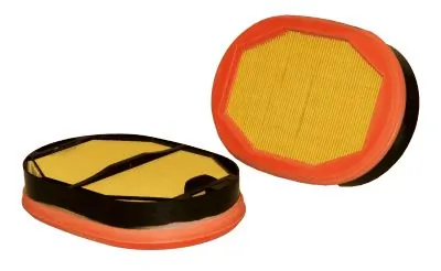Secondary Air Filter 49109