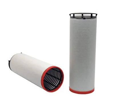 Secondary Air Filter 49810