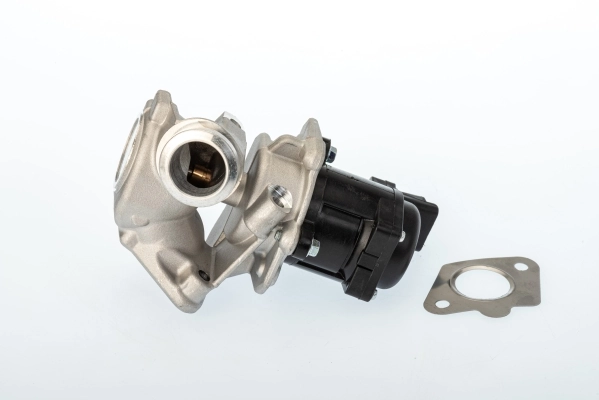 EGR Valve 711020D