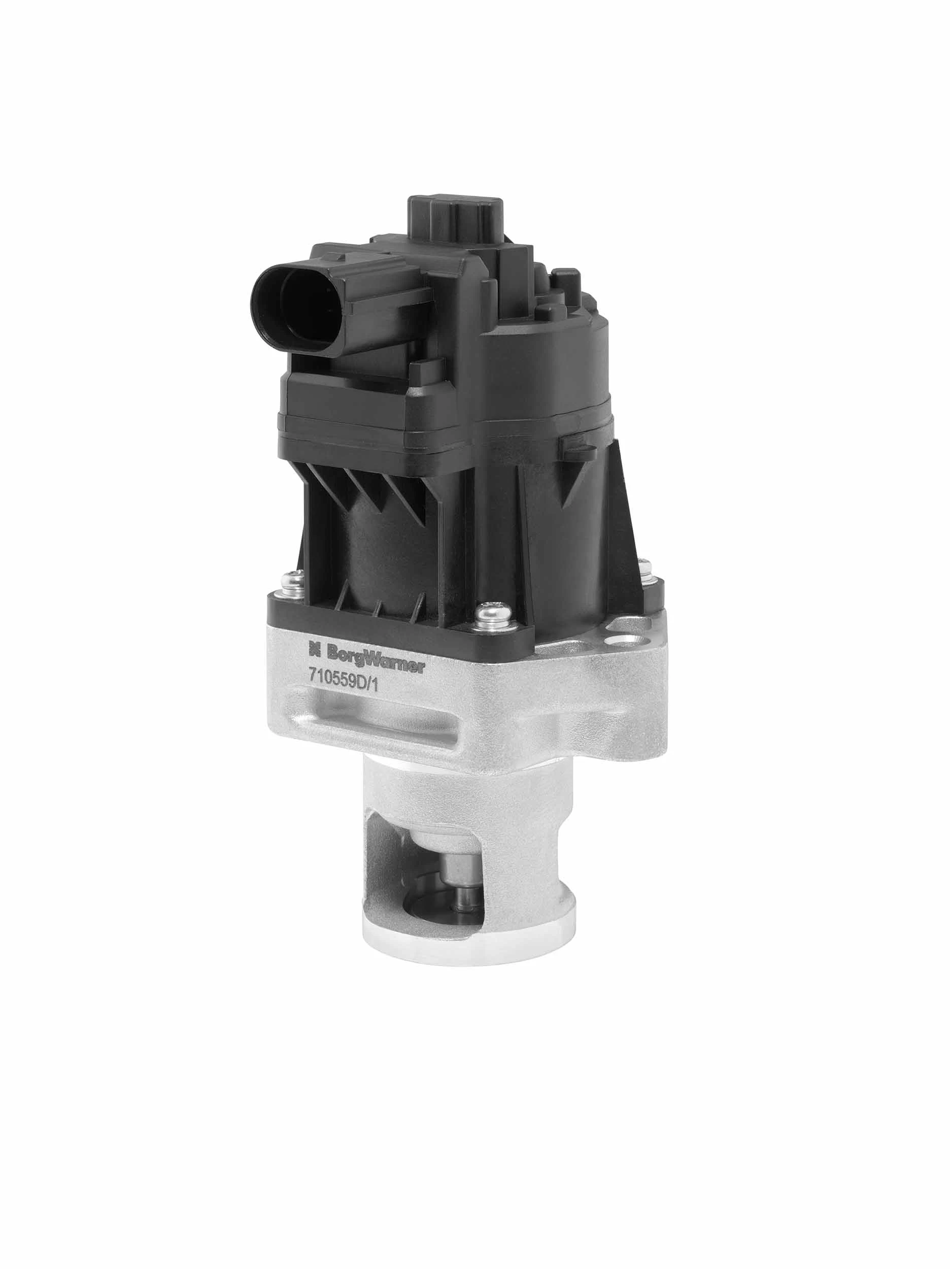 BorgWarner 710559D/1 EGR Valve