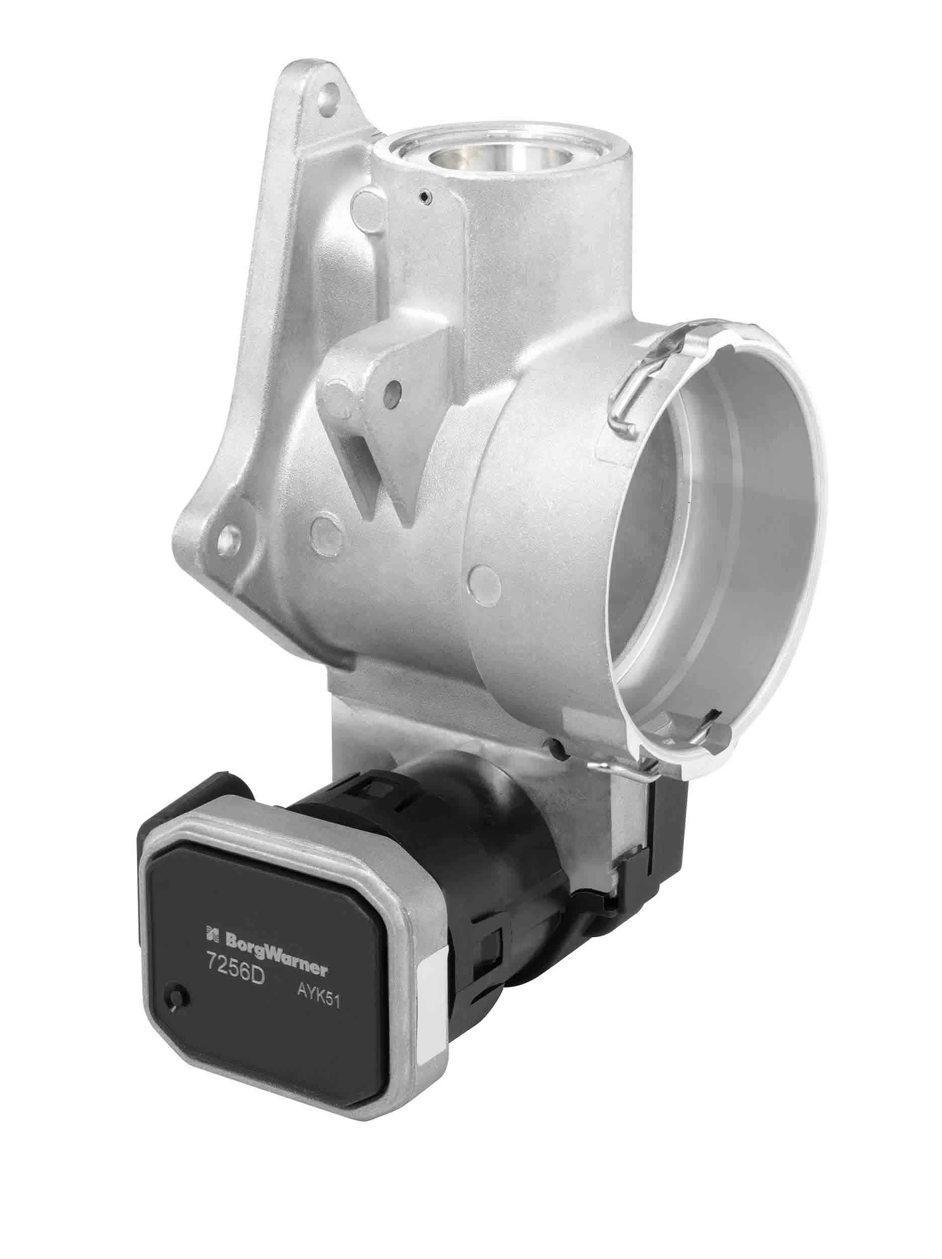 BorgWarner 7256D EGR Valve
