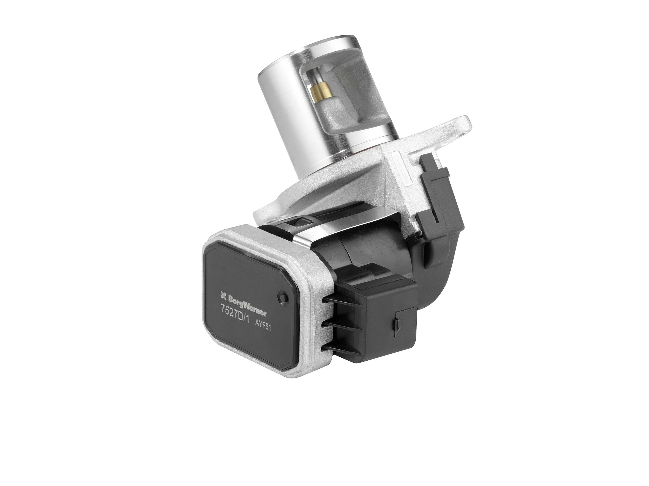 BorgWarner 7527D/1 EGR Valve