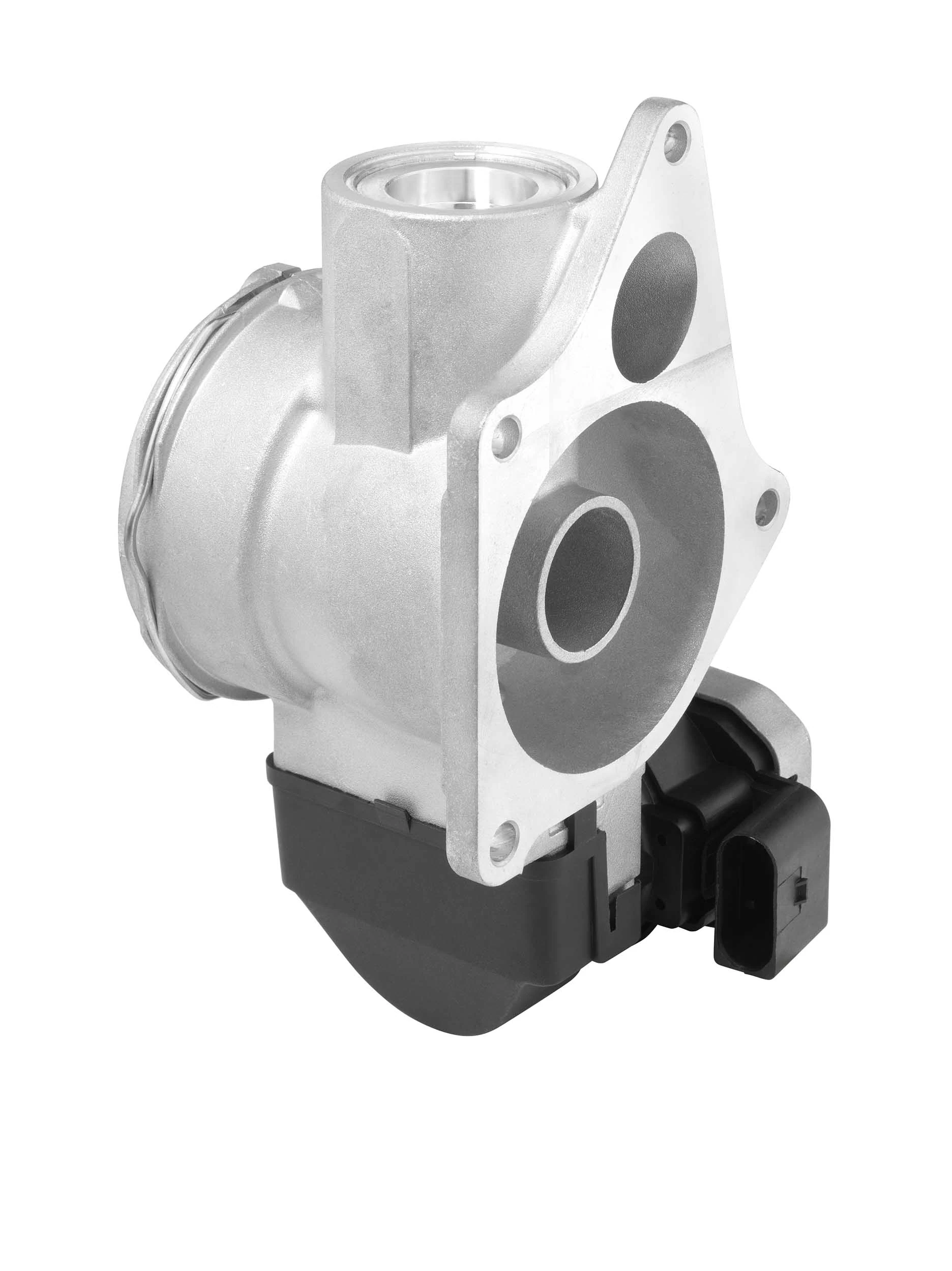 BorgWarner 7256D EGR Valve