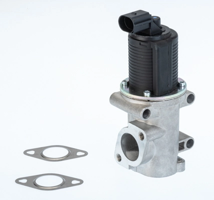EGR Valve 710770D