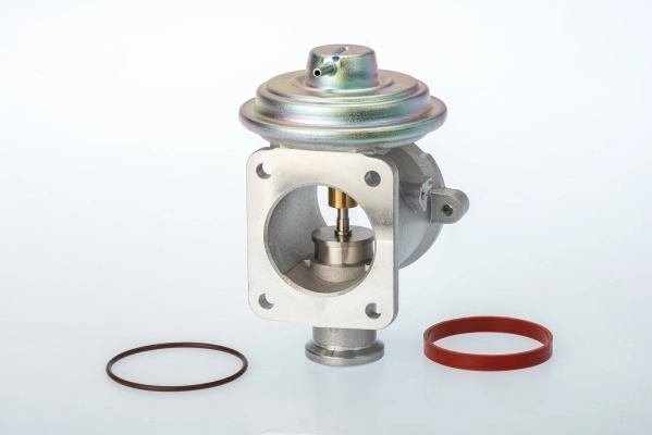 EGR Valve 710924D