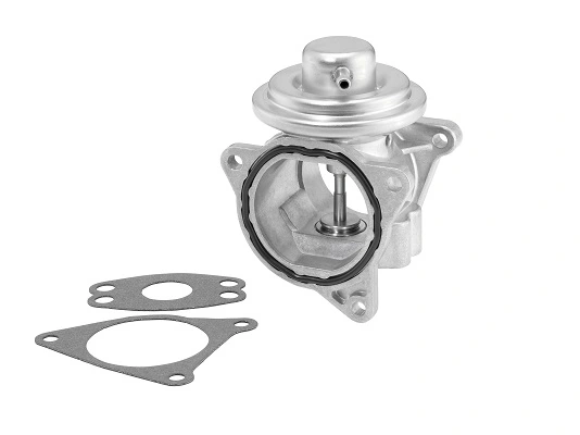 EGR Valve 7496D
