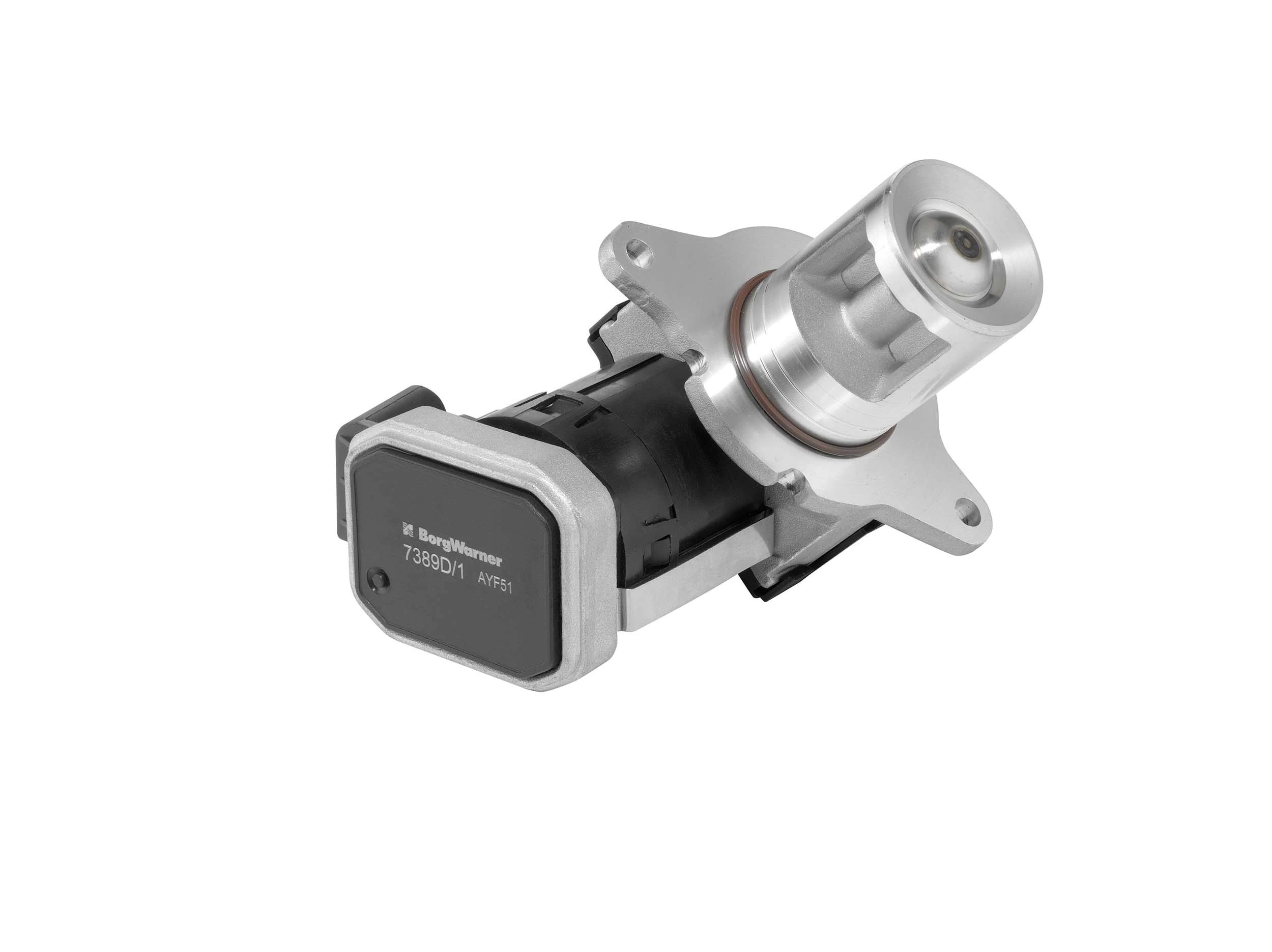 BorgWarner 7389D/1 EGR Valve