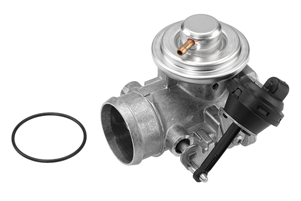 EGR Valve 7223D