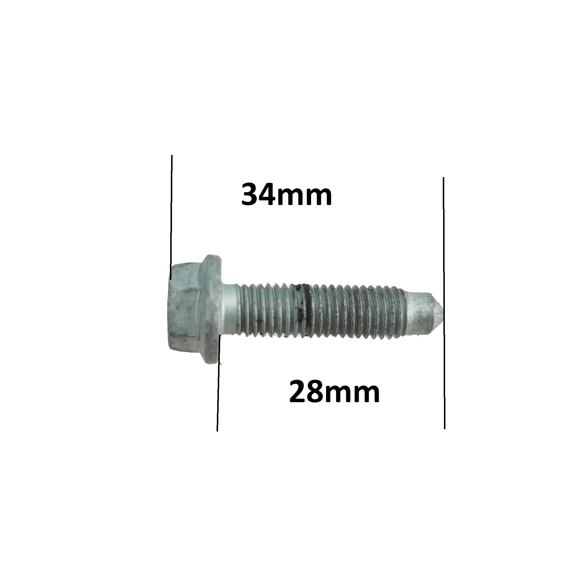 VAICO V38-0011 Oil Filter