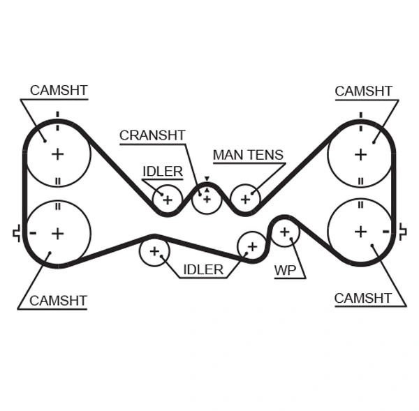 Timing Belt PowerGrip™ 5384XS
