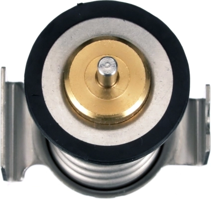 Thermostat, coolant TH64290G1