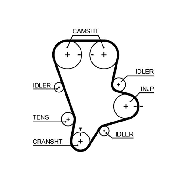 Timing Belt PowerGrip™ 5644XS