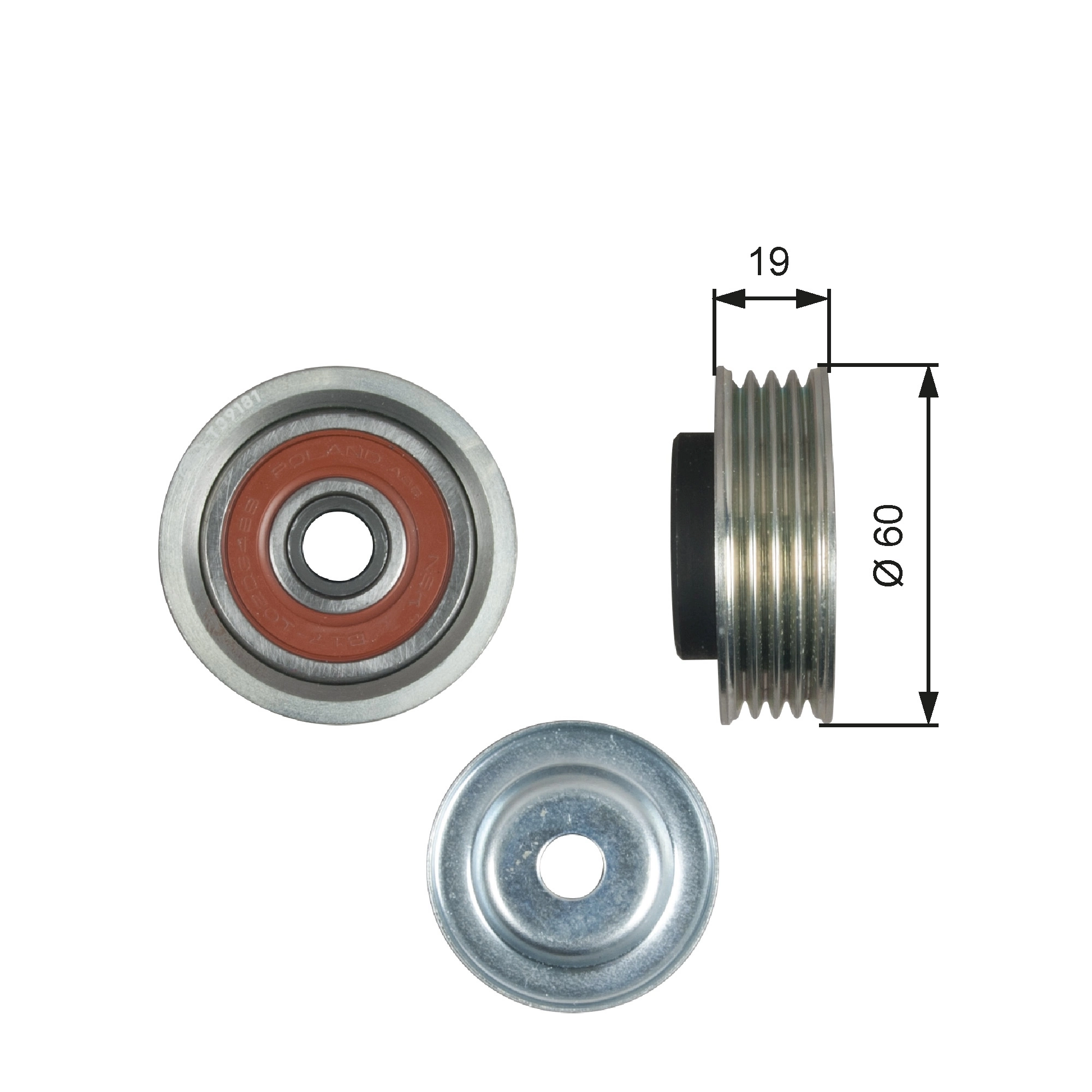 Tensioner Pulley, V-ribbed belt DriveAlign™ T39181