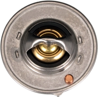 Thermostat, coolant TH64488G1