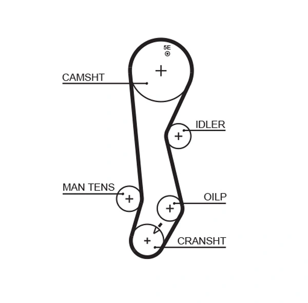 Timing Belt PowerGrip™ 5389XS