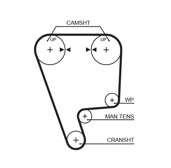 Timing Belt PowerGrip™ 5349XS