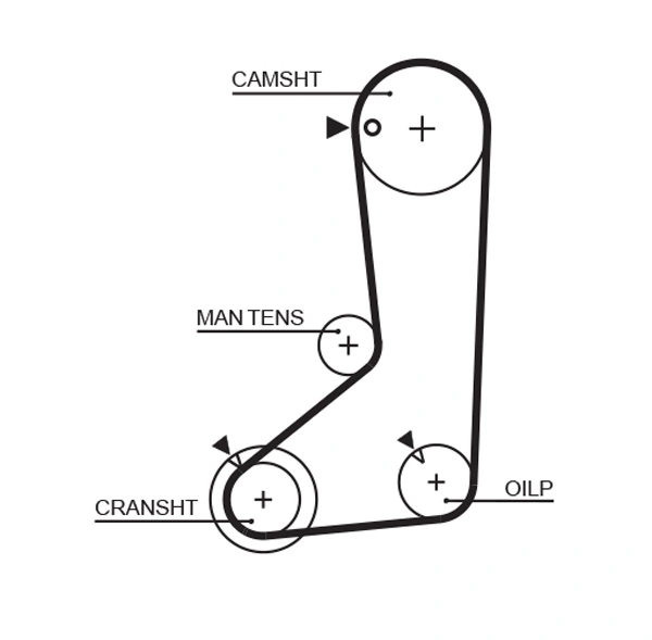 Timing Belt PowerGrip™ 5254XS