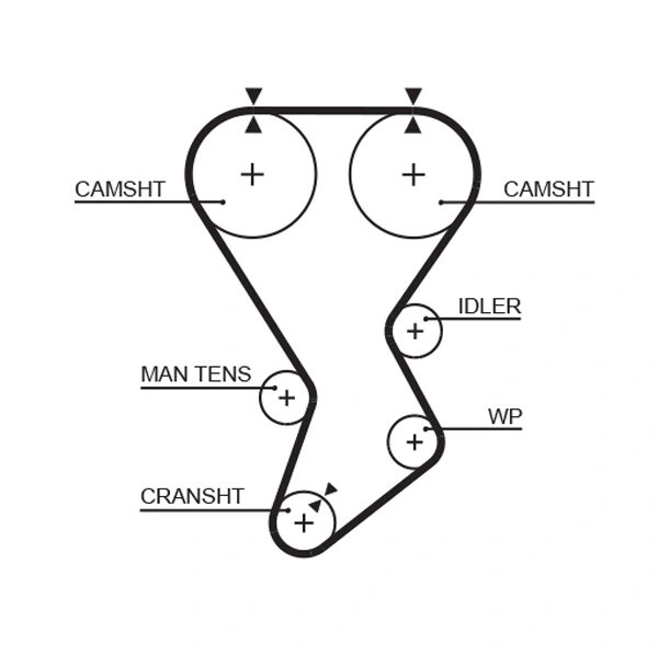 Timing Belt PowerGrip™ 5351XS