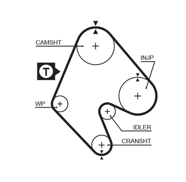 Timing Belt PowerGrip™ 5048