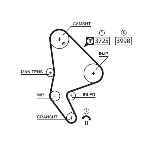 Timing Belt PowerGrip™ 5588XS