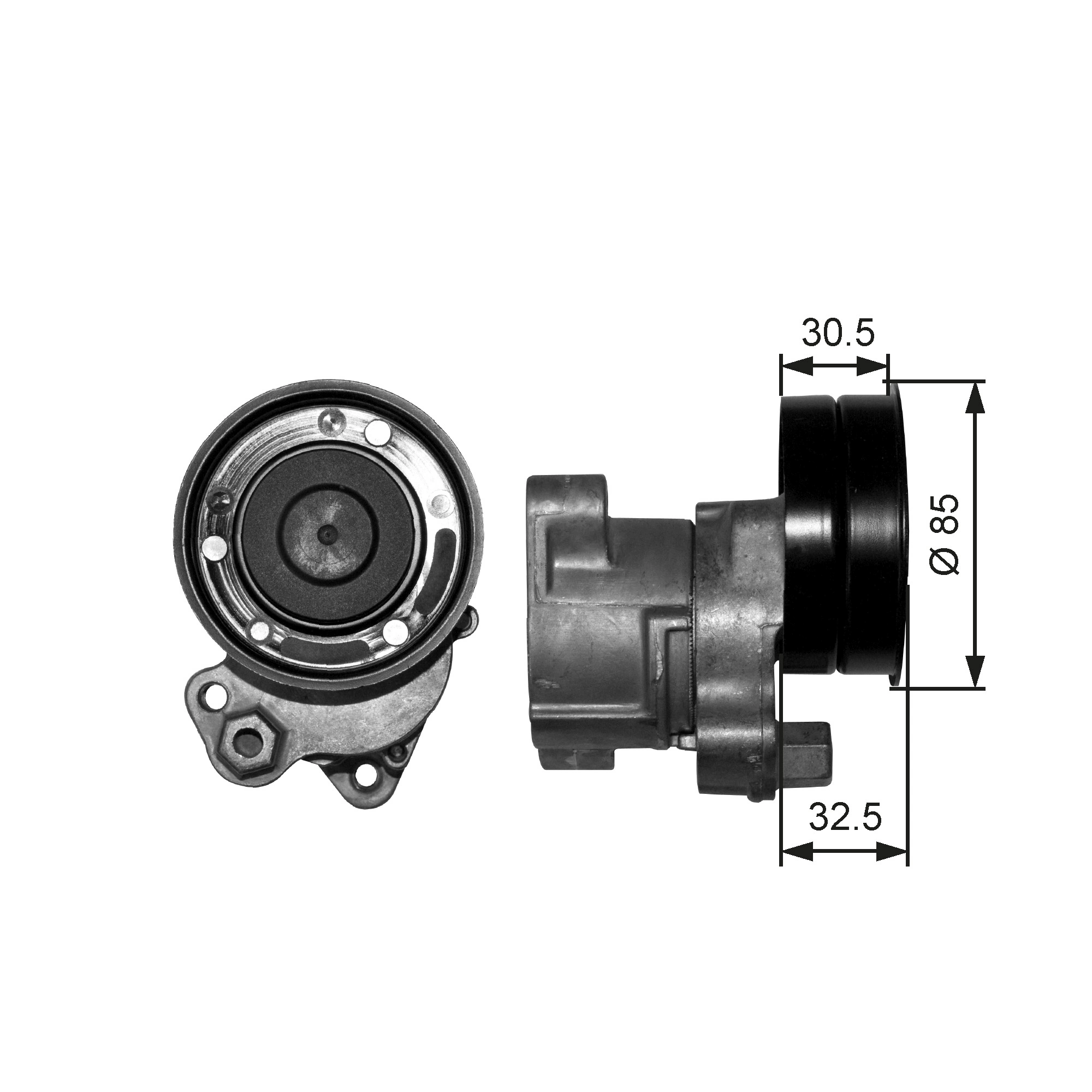 Belt Tensioner, V-ribbed belt FleetRunner™ T38572