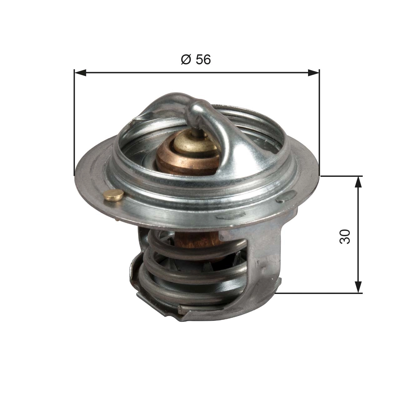 Thermostat, coolant TH50482G1