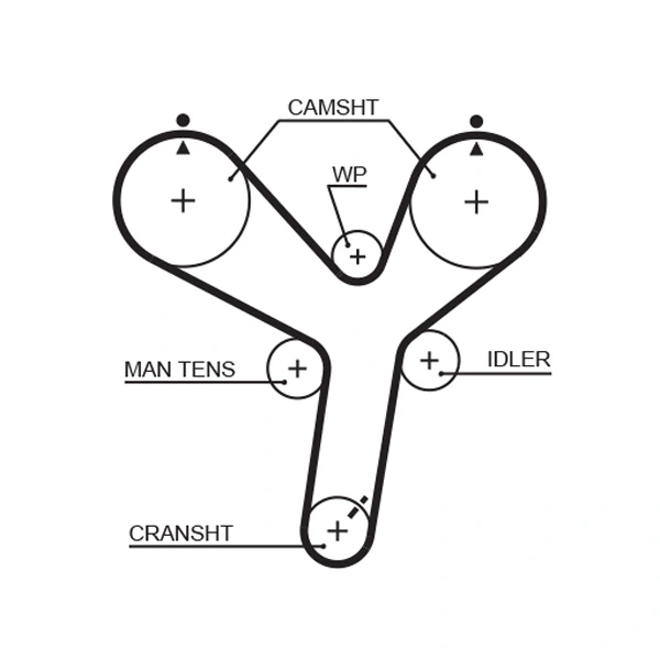 Timing Belt PowerGrip™ 5536XS