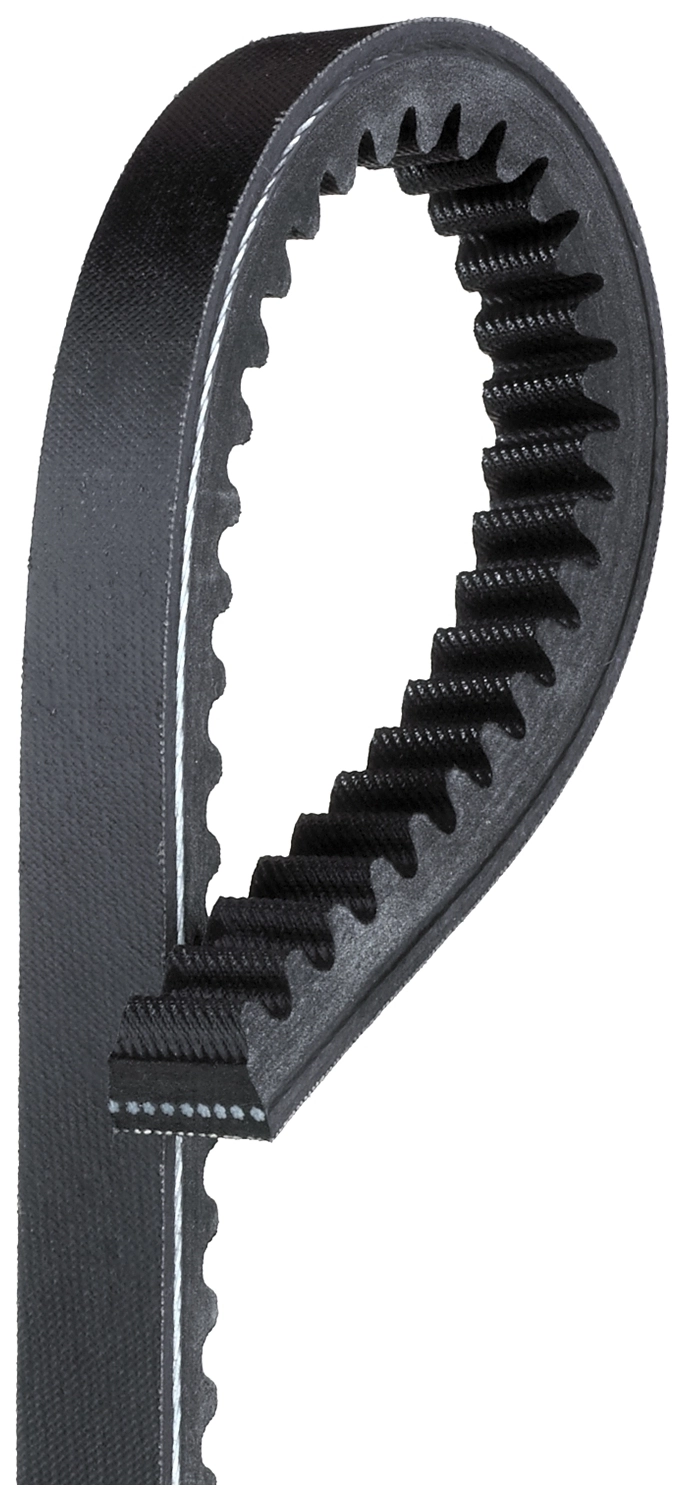 V-Belt TR22350