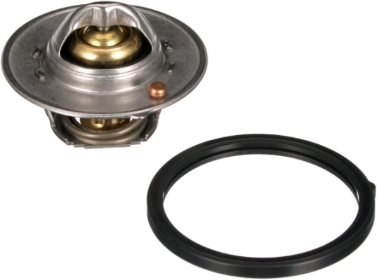 Thermostat, coolant TH64488G1