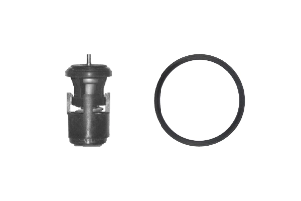 Thermostat, coolant TH14780G1