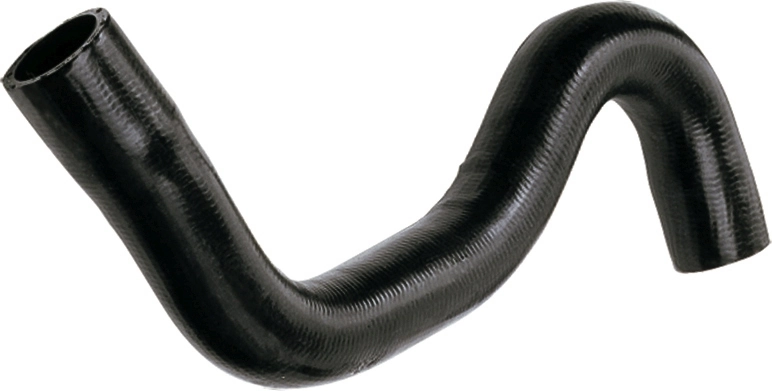Radiator Hose 3981
