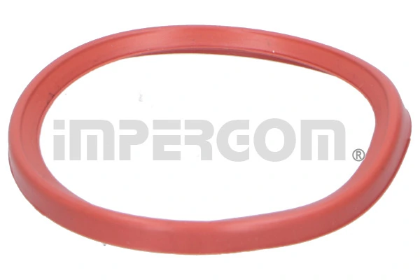 Seal Ring, charge air hose 20295