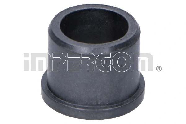 Bushing, selector/shift rod 26504