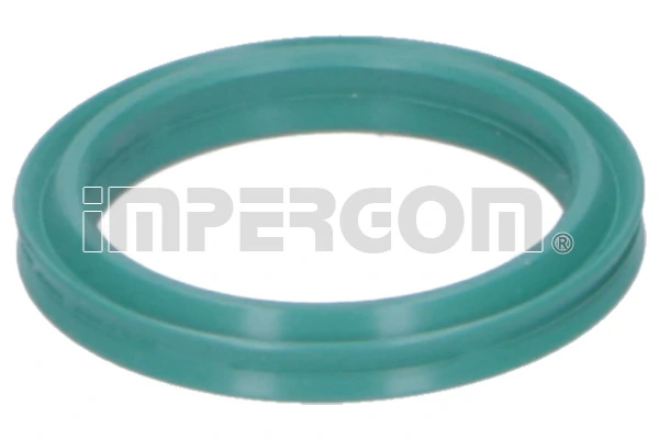 Seal Ring, charge air hose 20293