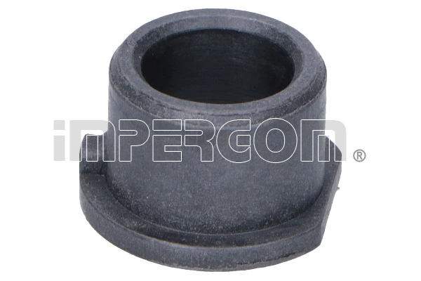 Bushing, selector/shift rod 26502