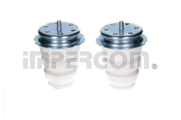 Dust Cover Kit, shock absorber 50664